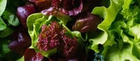 Spinach, Kale, Mustard Greens: Keep Away From Those Leafy Vegetables If...